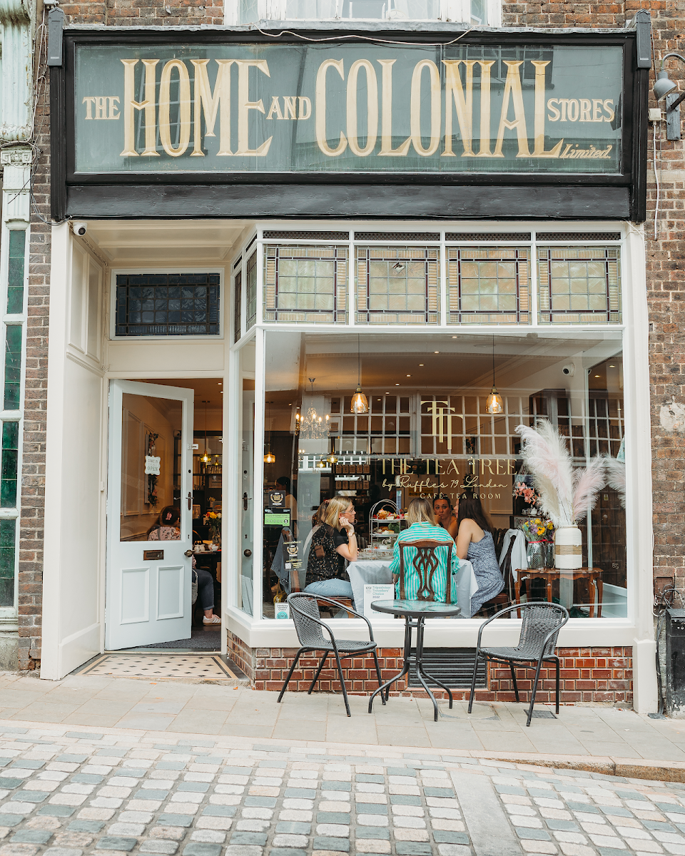 The Tea Tree Photos 2